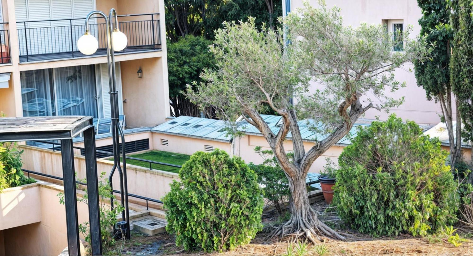 Precioso Apartamento Reformado En 1Ra Linea De Mar Sin Vistas Calella De Palafrugell Phòng bức ảnh